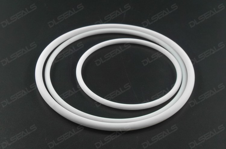 聚四氟乙烯(PTFE)密封圈