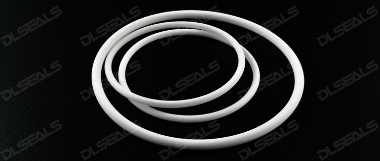 PTFE密封圈