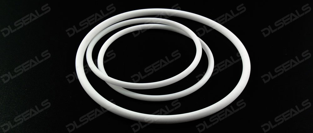 PTFE密封圈